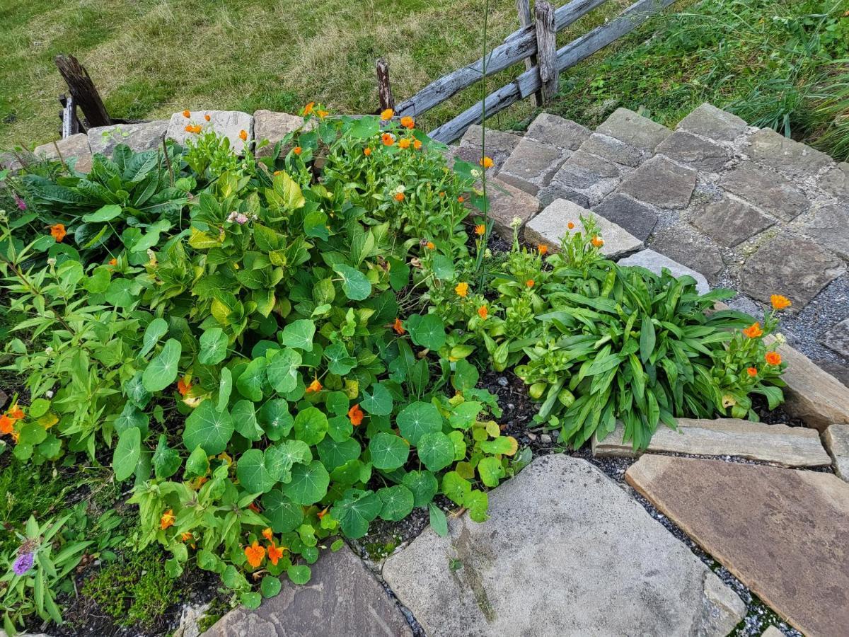 Souterrainwohnung Im Gruenen Виттен Экстерьер фото